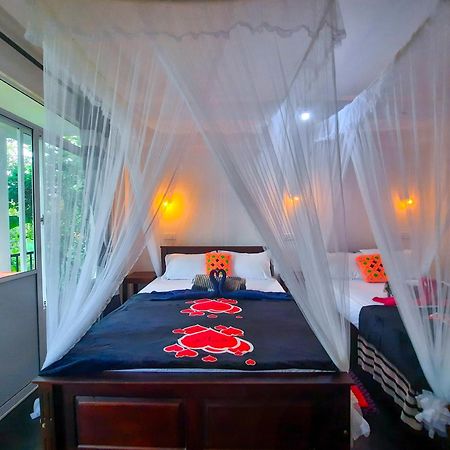 The Bliss Homestay إيلا المظهر الخارجي الصورة