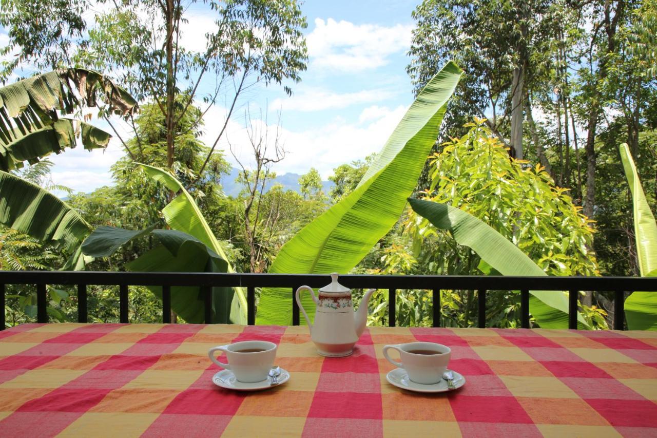 The Bliss Homestay إيلا المظهر الخارجي الصورة