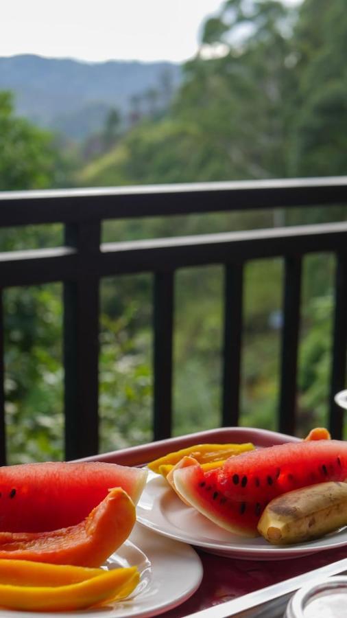 The Bliss Homestay إيلا المظهر الخارجي الصورة