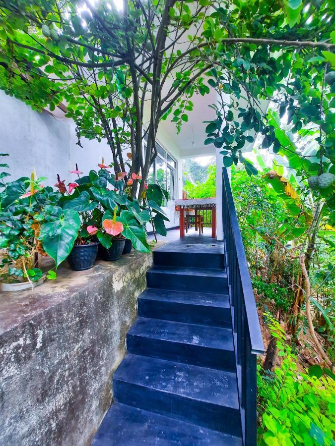 The Bliss Homestay إيلا المظهر الخارجي الصورة