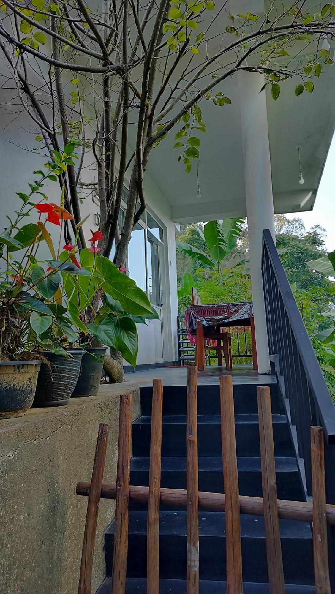 The Bliss Homestay إيلا المظهر الخارجي الصورة