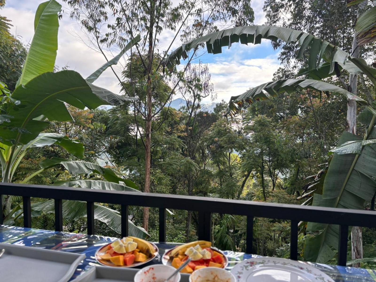 The Bliss Homestay إيلا المظهر الخارجي الصورة