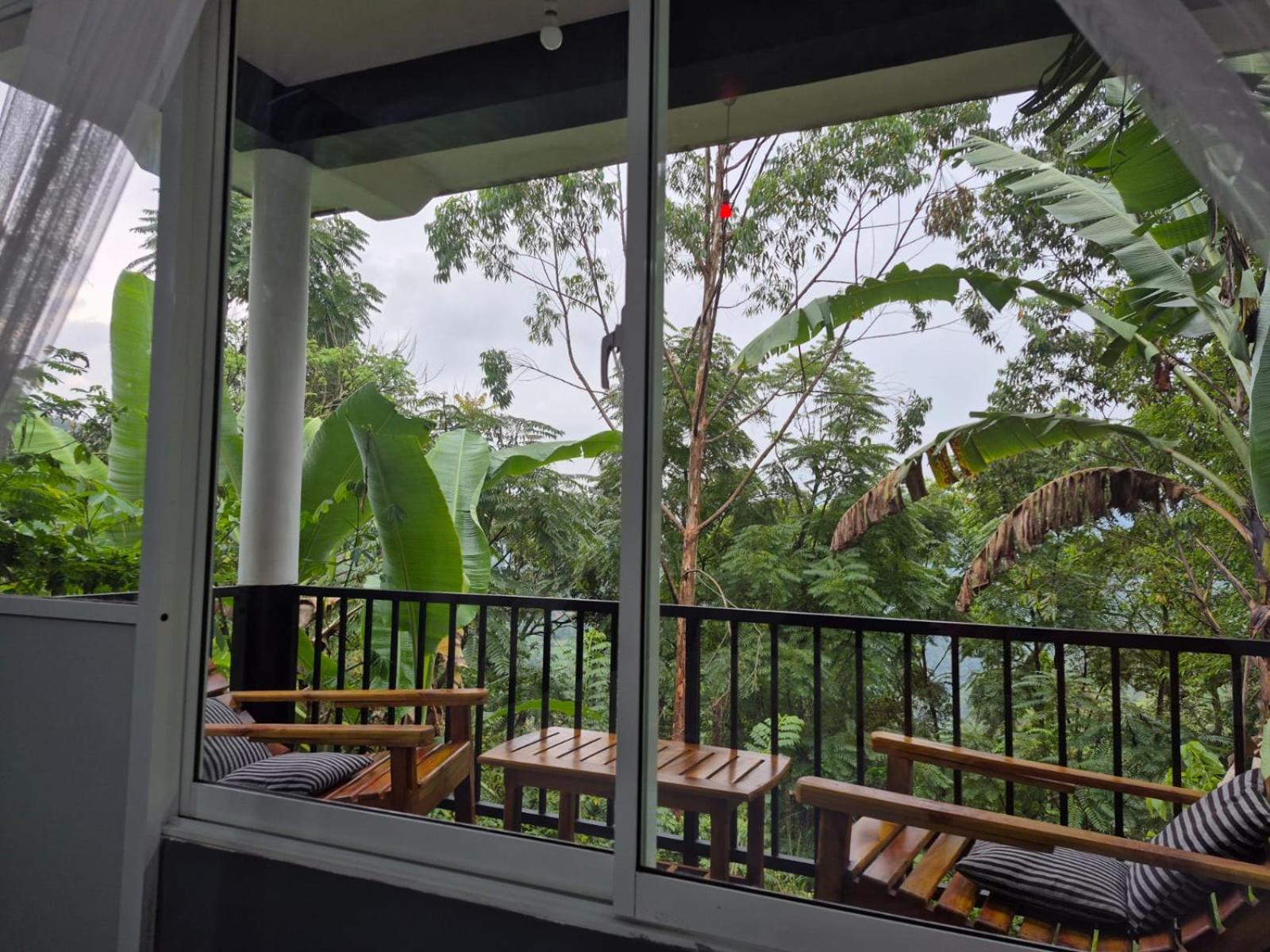 The Bliss Homestay إيلا المظهر الخارجي الصورة